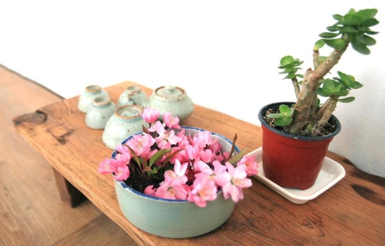 Mongyouhwawon Guesthouse Jeonju Bagian luar foto